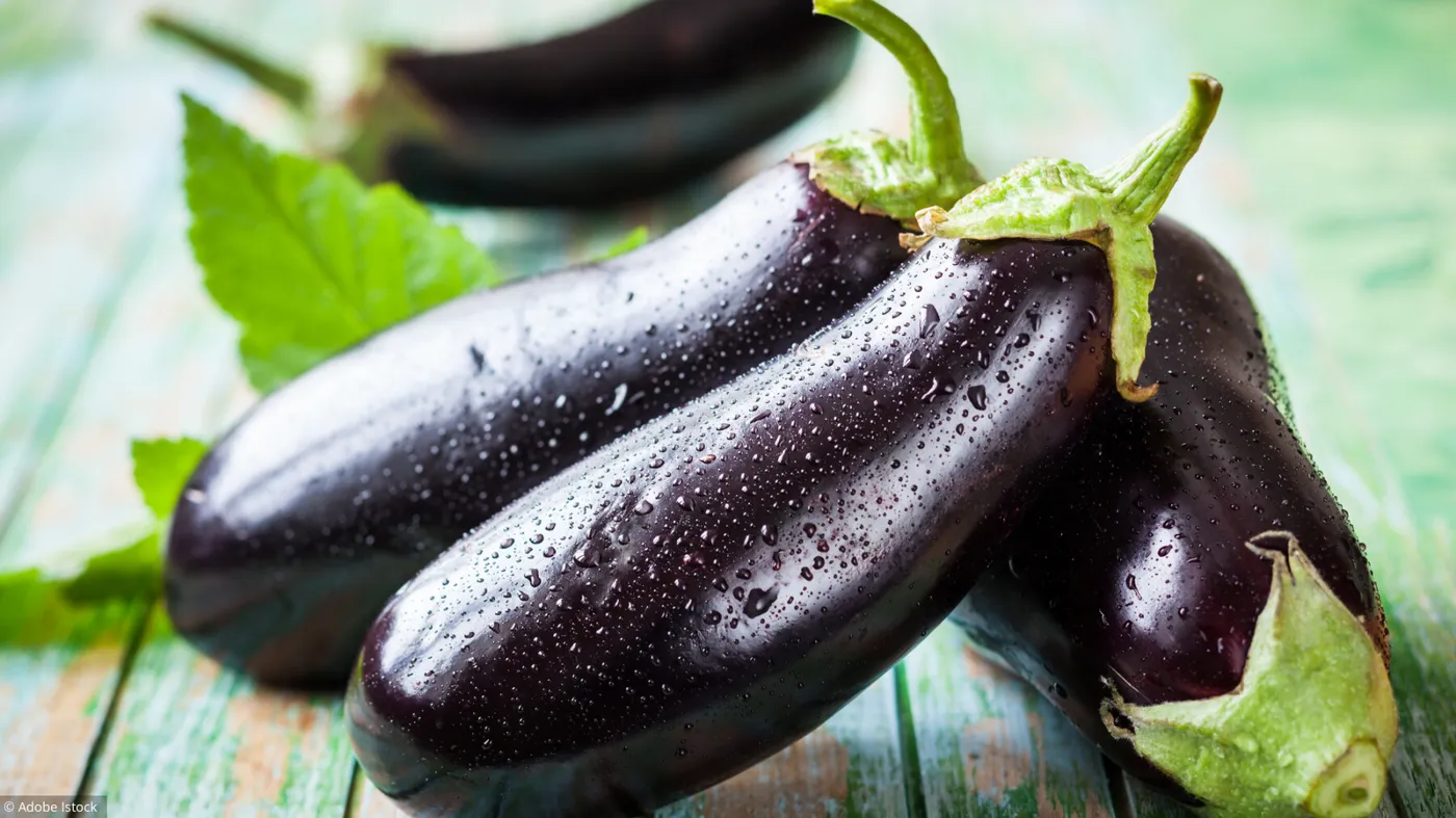 Aubergines violette